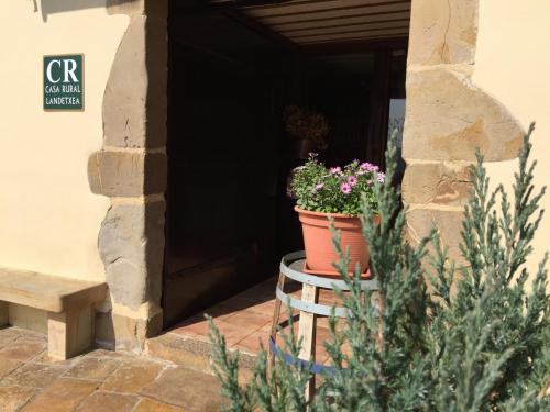 a pot of flowers sitting on a stool in front of a door at Batzarki in Avellaneda