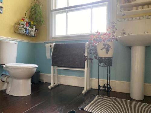 a bathroom with a toilet and a sink and a window at Harbour view cottage, clovelly in Clovelly