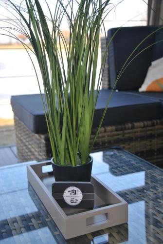 a potted plant sitting on top of a table at SeeRuhe - Mobilheim Grosssteinbach in Grosssteinbach