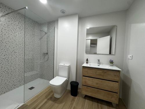 a bathroom with a toilet and a sink and a shower at Apartamentos La Paz in Ibi