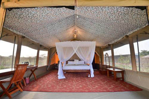 Fotografie z fotogalerie ubytování Mtito Safari camp limited v destinaci Masai Mara