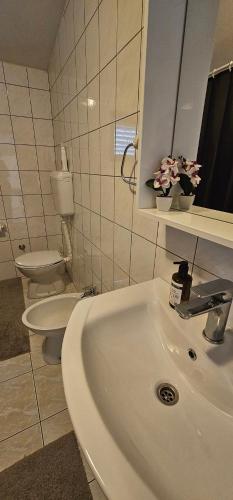 Koupelna v ubytování Apartman Pida , apartman s 1 spavaćom sobom