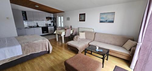 Kuchyň nebo kuchyňský kout v ubytování Apartman Pida , apartman s 1 spavaćom sobom