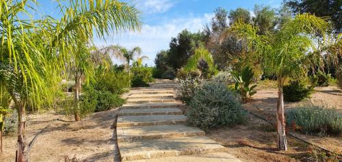 a stone path in a garden with palm trees at Agriturismo Tenuta Don Giovanni in Melendugno