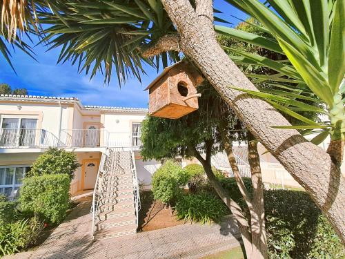 a bird house hanging from a palm tree at Apartamento Oásis Parque 2 in Portimão