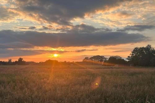 a sunset in a field with the sun setting at Natuurhuisje Hellendoorn met luxe Hottub in Haarle