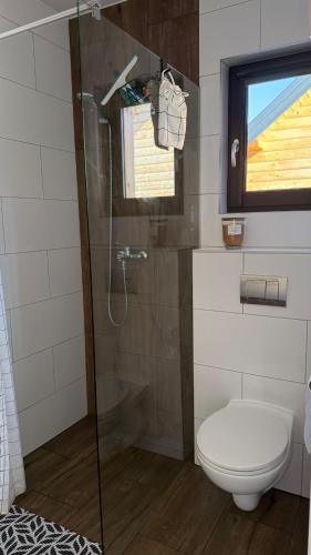 a bathroom with a shower with a toilet and a window at Domki Wilcza C in Wilcza