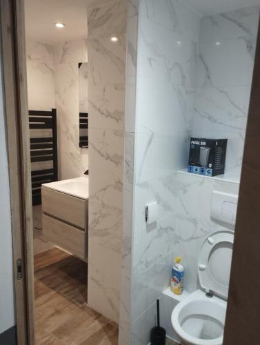 une salle de bain blanche avec des toilettes et un lavabo dans l'établissement Logement au coeur de saint omer, à Saint-Omer