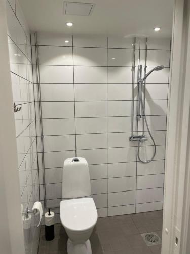 a bathroom with a toilet and a shower at Studio Tulip in Pietarsaari
