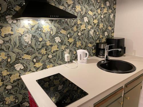 a kitchen counter with a sink and a wallpaper at Studio Tulip in Pietarsaari