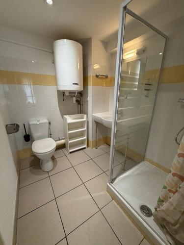 une petite salle de bain avec toilettes et douche dans l'établissement Le clos d'AIX Célony N 2 Parking Piscine Clim, à Aix-en-Provence