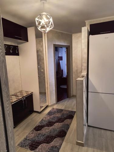 Dapur atau dapur kecil di Andi Apartment Suceava