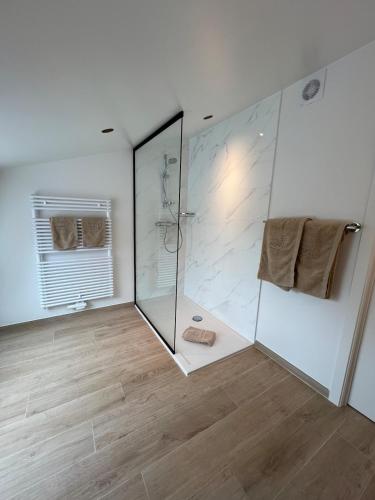 a bathroom with a shower and a glass shower stall at Maison Ter Wallen in Izegem