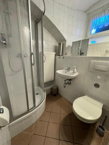 a bathroom with a shower and a toilet and a sink at Pension Hönel-Hof Bad Schandau in Bad Schandau