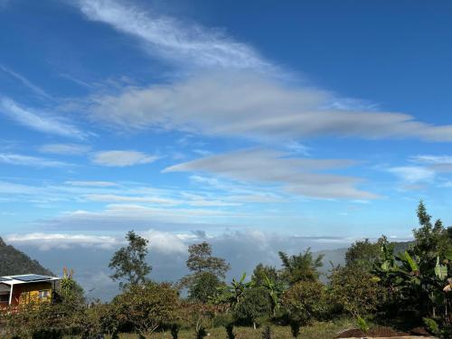 a blue sky with clouds and trees and a house at The Valley Rose Farmstay in Yercaud