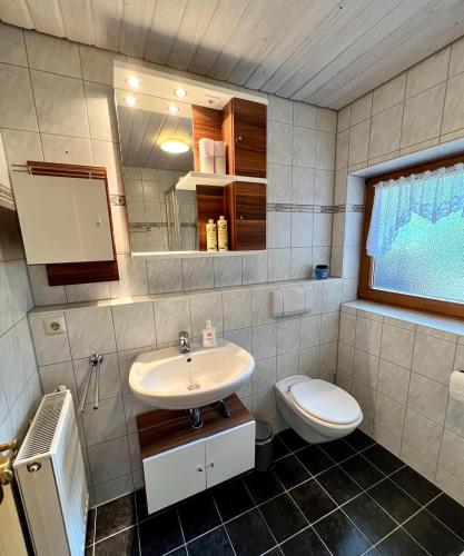 a bathroom with a sink and a toilet at Das Vogelnest in Rettenberg