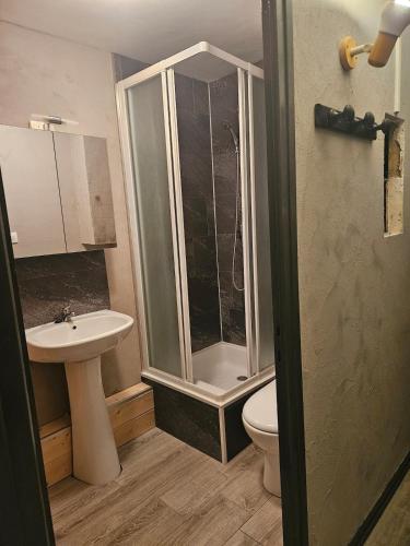 une salle de bain avec une douche, des toilettes et un lavabo dans l'établissement Appartement à la montagne, à Les Deux Alpes