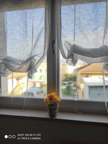 a window with a vase of flowers on a window sill at Casa di Ana in Ancona