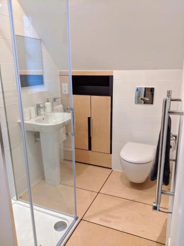 a bathroom with a toilet and a sink at Browhill Loft - contemporary, handcrafted studio in Danehill