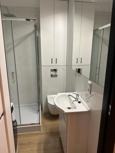 a bathroom with a sink and a shower and a toilet at Zowi apartament in Czarnków