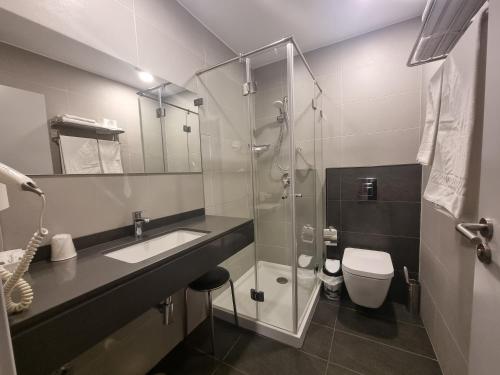 a bathroom with a shower and a sink and a toilet at Hotel Aleluia in Fátima