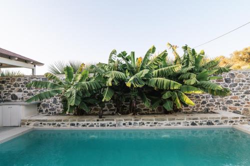Kolam renang di atau dekat dengan Villa Evgenia - Serenity