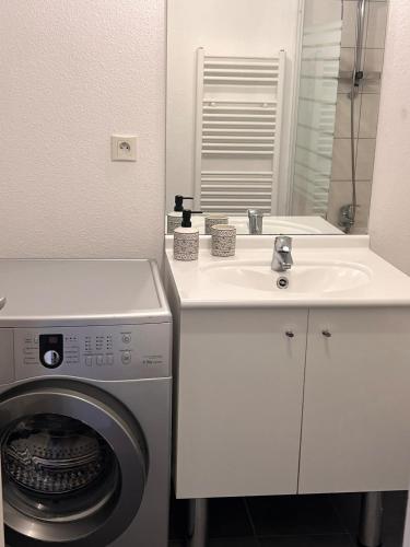 une salle de bain avec une machine à laver et un lavabo dans l'établissement Suite de la Citadelle, à Belfort