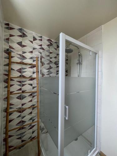 a shower with a glass door in a bathroom at Chez Patrick et Virginie in Pont-Aven