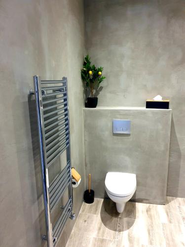 une salle de bain avec toilettes et une plante en pot dans l'établissement Le Heron Pourpre B&B gastronomique, à Cronat