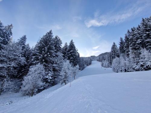 a snow covered field with trees and a snow covered forest at Steirermaxx Apartments in Gaal