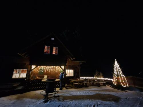 a house decorated with christmas lights and a christmas tree at Steirermaxx Apartments in Gaal