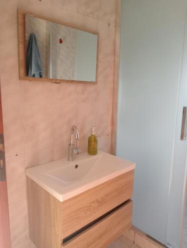 un bagno con un lavandino bianco e uno specchio di Il rifugio di Diana a Falerna Marina