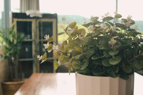 a white vase with a plant on a table at Casa de temporada - Tatuhouse in José Boiteux