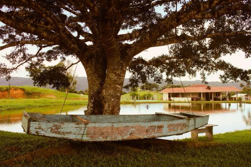 an old boat sitting next to a tree at Casa de temporada - Tatuhouse in José Boiteux