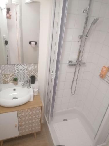 une salle de bain avec douche et lavabo dans l'établissement Cozy duplex en RDC hyper centre le Mans gare circuit des 24h, au Mans