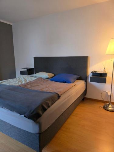 Cette chambre comprend un grand lit et une lampe. dans l'établissement Steinlisonne, à Möhlin
