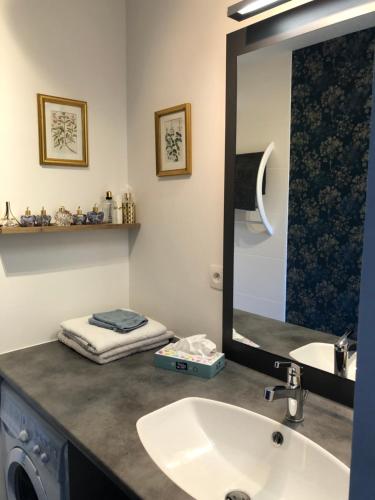 une salle de bain avec un lavabo et un miroir dans l'établissement Appartement Confortable et Moderne à Rouffiac-Tolosan - Arrivée autonome, à Rouffiac-Tolosan