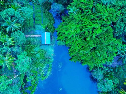 an overhead view of a river in a forest at Walawe Palm Villa in Udawalawe