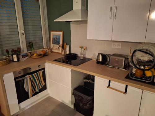 une cuisine avec des armoires blanches et un comptoir dans l'établissement Chambre lit double près de la Loire, à La Riotière