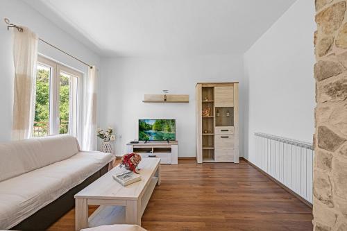 TV a/nebo společenská místnost v ubytování Vacation home Bobijevi dvori