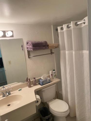 a bathroom with a toilet and a sink and a mirror at All you need around you in Sunny Isles Beach