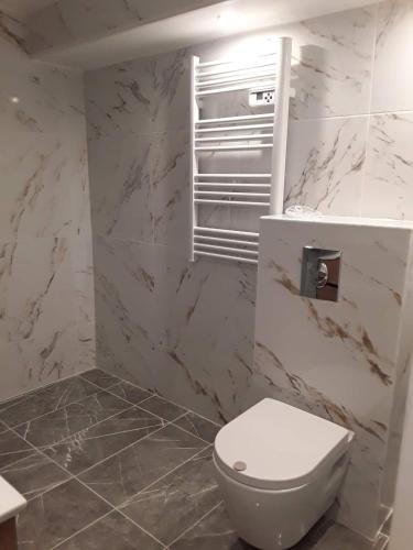 モルパにあるstudio vu le jardinの白いトイレと大理石の壁が備わるバスルーム