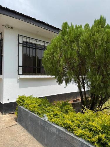 a white building with a tree in front of it at 27 Artful Tegeta holiday home with Inverter in Dar es Salaam