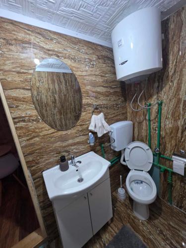 a bathroom with a sink and a toilet and a mirror at Forest Heaven in Kolašin