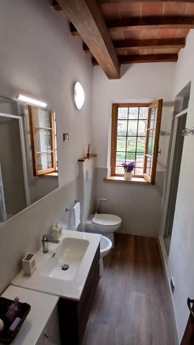 a bathroom with a sink and a toilet and a window at IVO house in Vezza