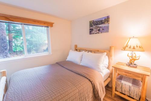 Trout Corner wooded tiny home