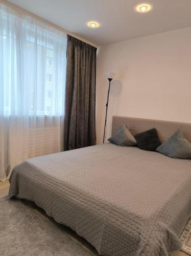 a bedroom with a large bed and a window at Butas šalia parko in Radviliškis