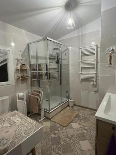 une salle de bain avec douche et lavabo dans l'établissement Lou Paradou, à Méounes-lès-Montrieux