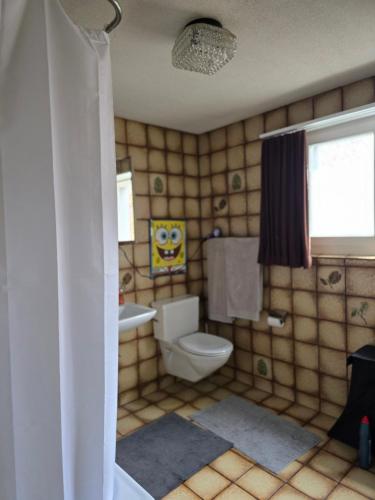 a bathroom with a toilet and a window at steinlisonne in Möhlin