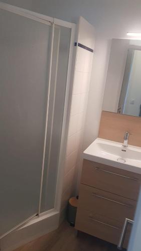 une salle de bain avec un lavabo et un miroir dans l'établissement Appart cosy avec terrasse et parking privé, à Guidel